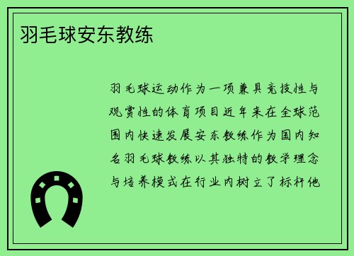 羽毛球安东教练